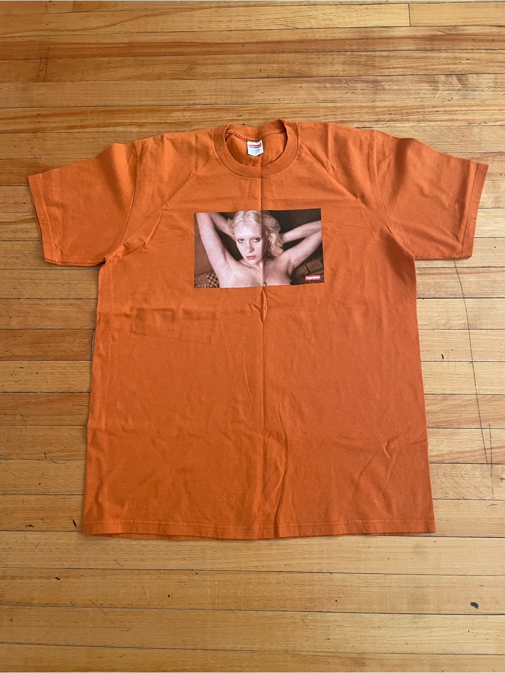 Supreme x Gummo Dot Tee 'Rust Chloe Sevigny